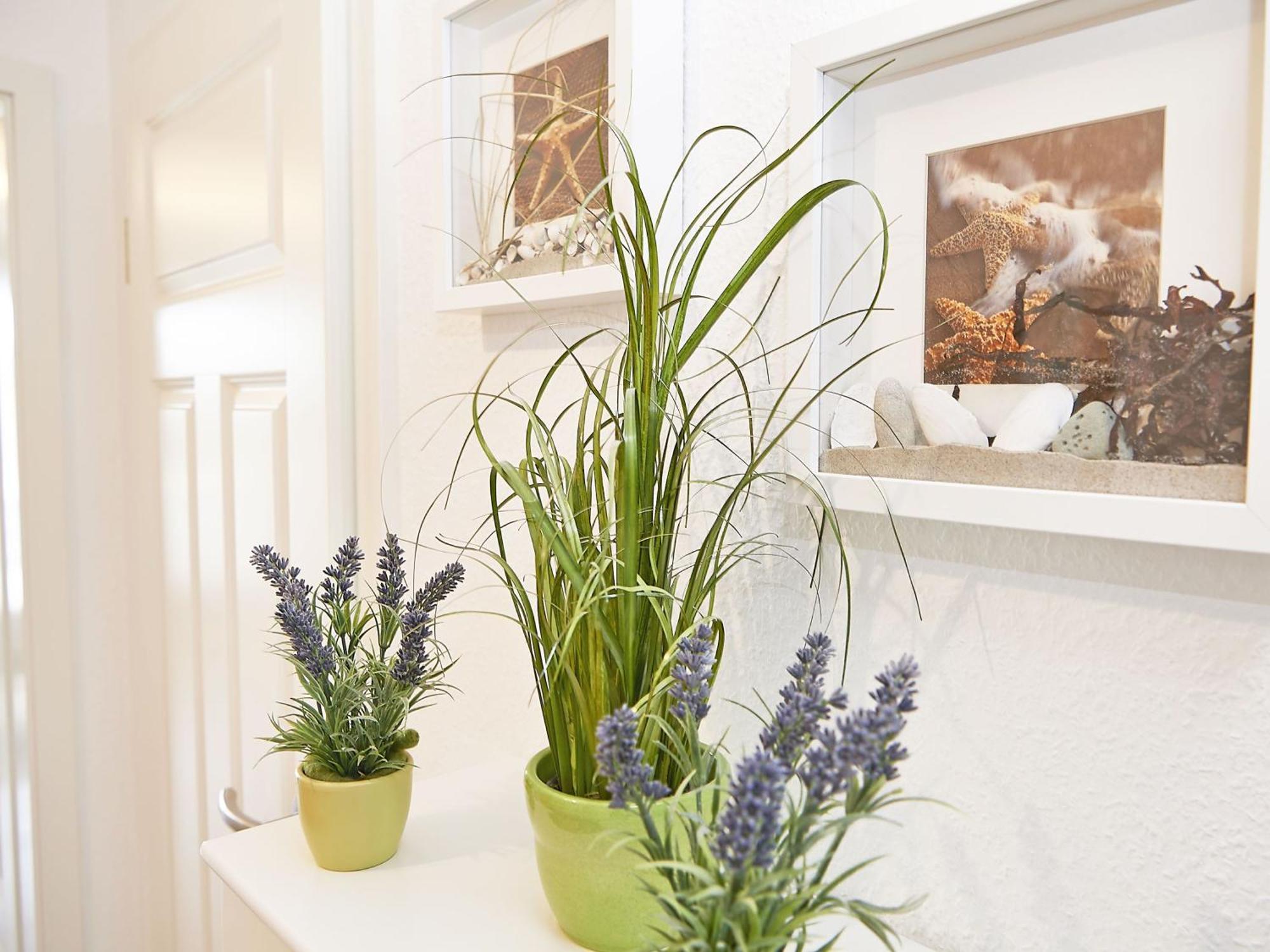 Wohnpark Stadt Hamburg - Apt. 50 Binz Dış mekan fotoğraf
